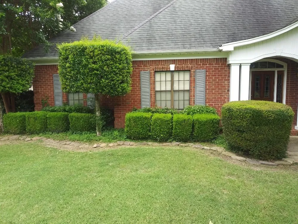 Top-rated garden landscaping for residential properties across Millington, TN - Joe's LawnCare and Landscaping Solutions