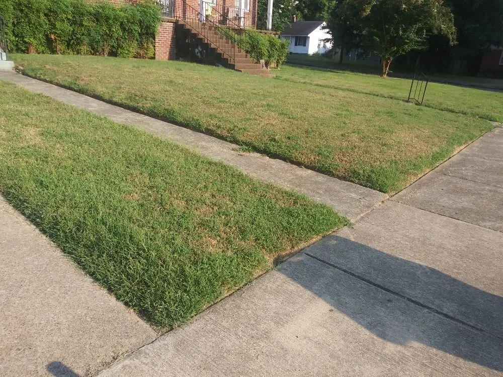 Local landscape installation for year-round maintenance in Millington, TN by Joe's LawnCare and Landscaping Solutions