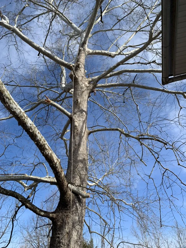 Local lawn mowing service in Louisa, VA - Joe's Limbin N Trimmin, SP