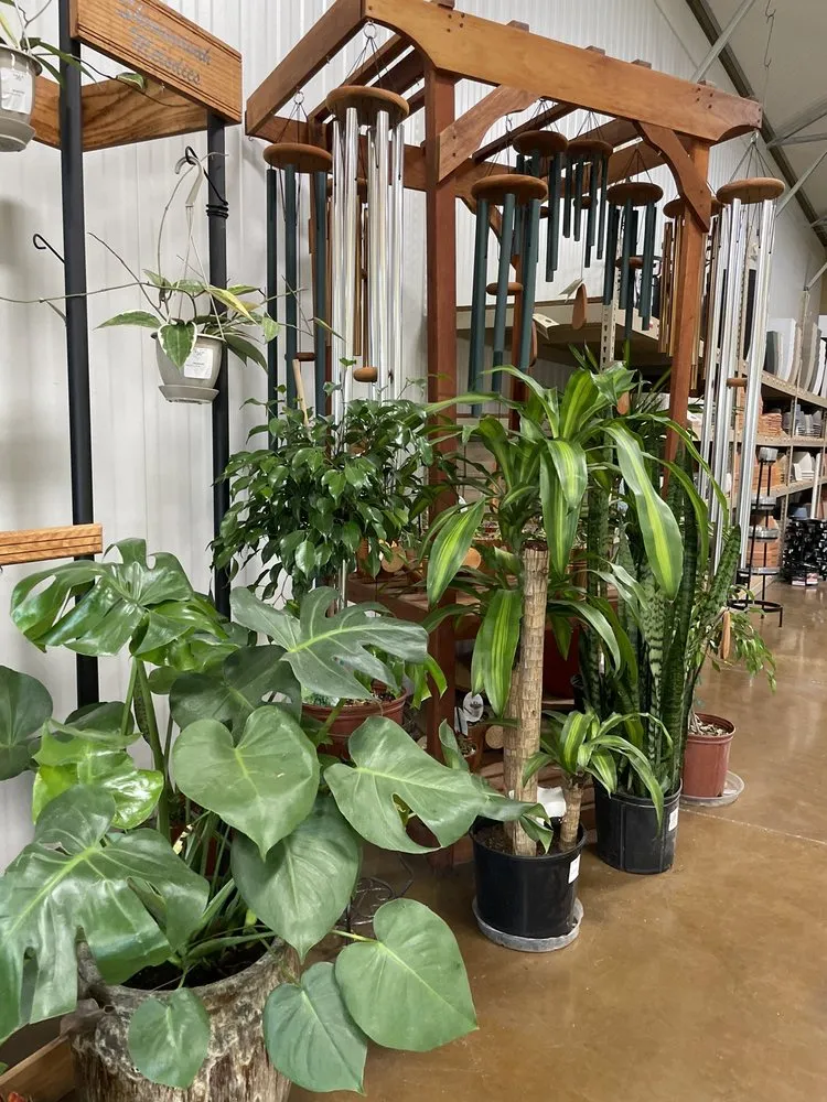 Professional garden landscaping experts serving Ofallon, IL - Joe's Market Basket