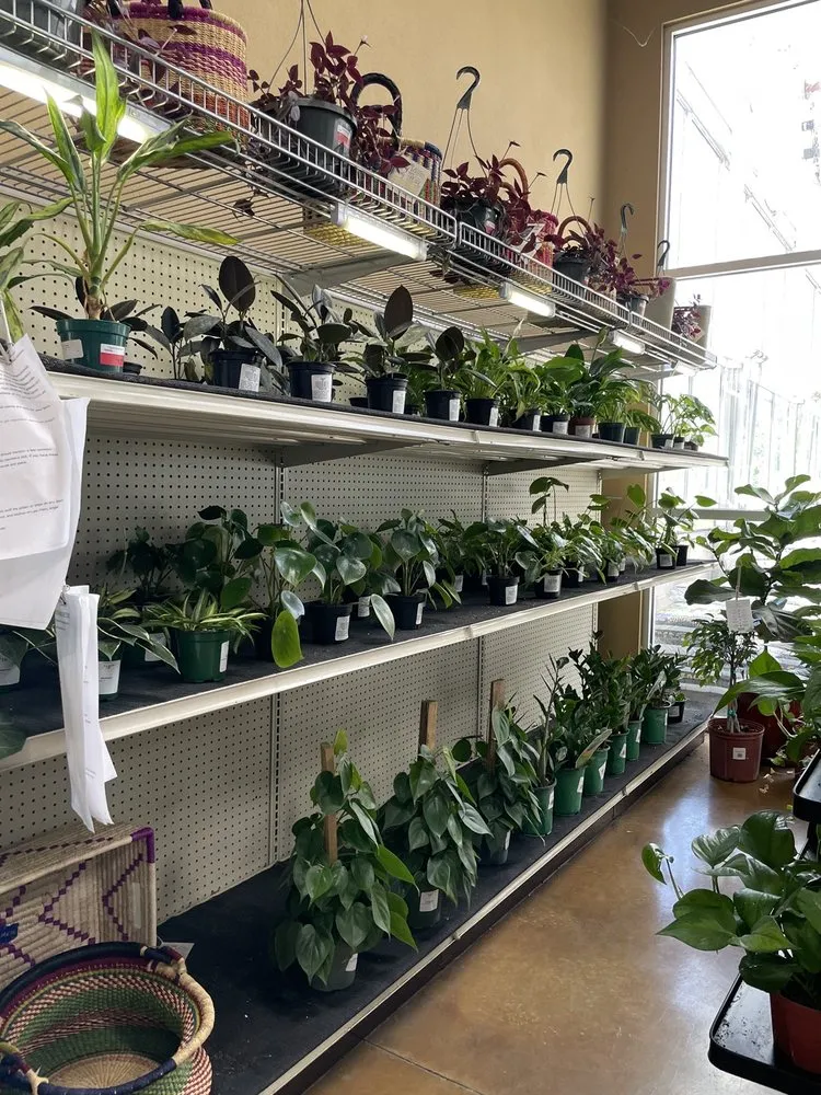 Top-rated yard maintenance in Ofallon, IL - Joe's Market Basket