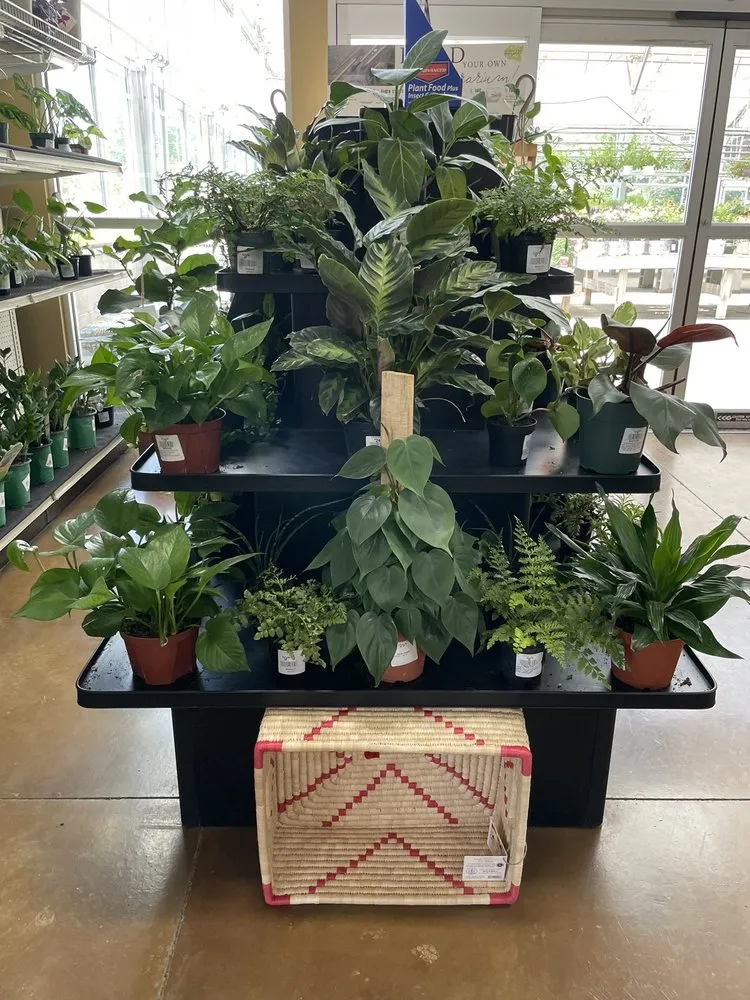 Custom yard maintenance near you across Ofallon, IL - Joe's Market Basket