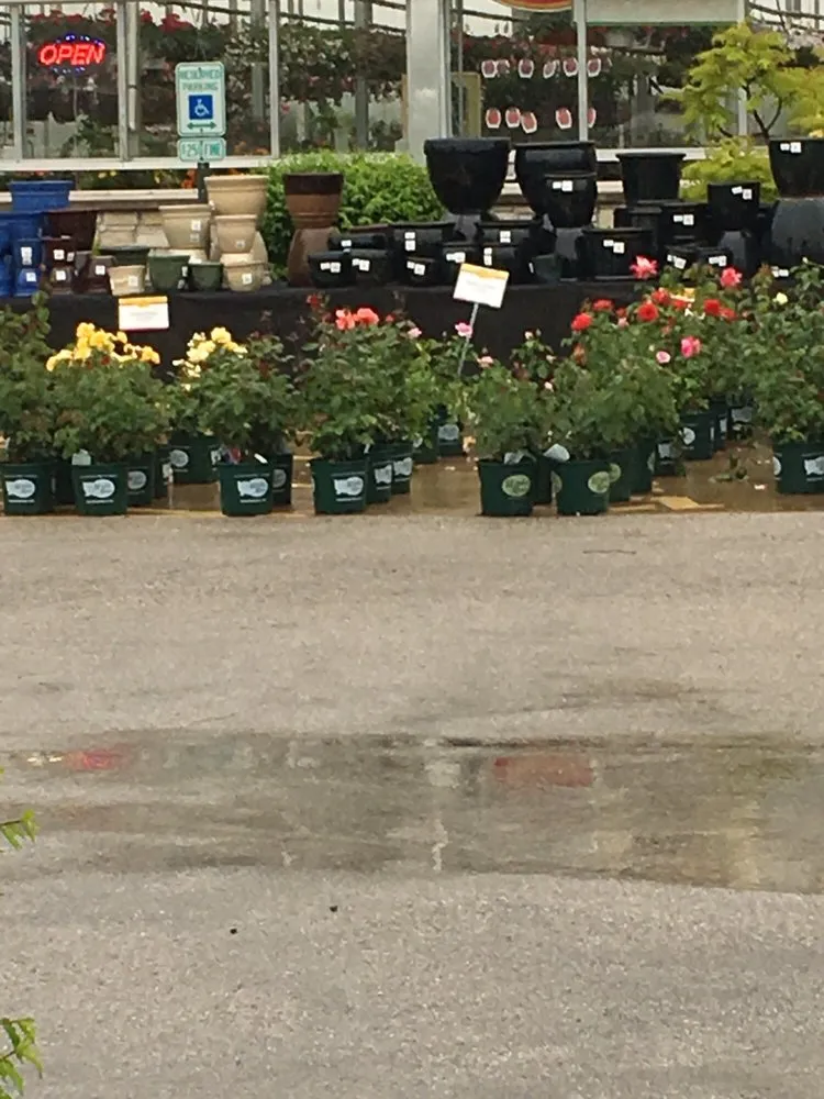 Top-rated yard maintenance with custom design in Ofallon, IL by Joe's Market Basket