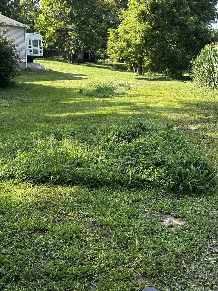 Custom lawn mowing service in Beecher, IL by Joes Mowing