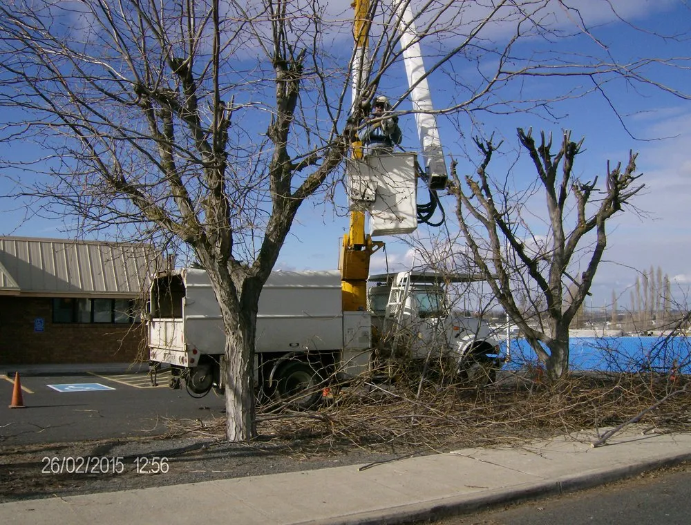 Local landscape design for residential properties in Moses Lake, WA by Joe's Tree And Landscape Service
