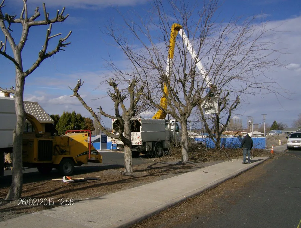 Expert lawn mowing service experts serving Moses Lake, WA - Joe's Tree And Landscape Service