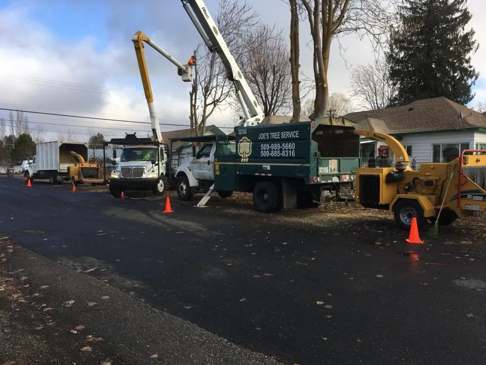 Expert landscape installation in Moses Lake, WA - Joe's Tree And Landscape Service