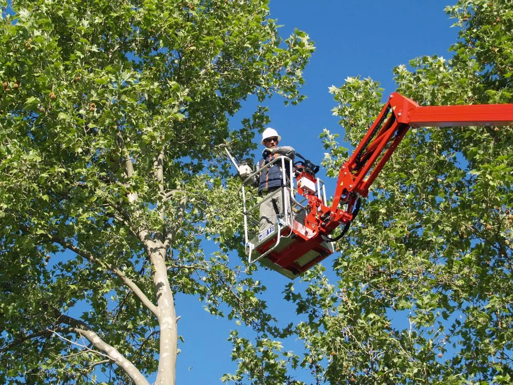 Local residential landscaping for residential properties across Moses Lake, WA - Joe's Tree And Landscape Service