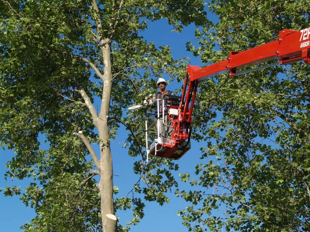 Reliable yard maintenance in Moses Lake, WA - Joe's Tree And Landscape Service