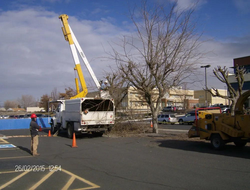Reliable garden landscaping for year-round maintenance across Moses Lake, WA - Joe's Tree And Landscape Service