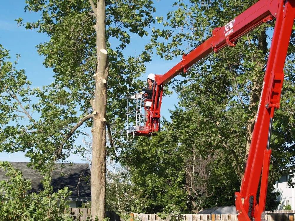 Local lawn mowing service for year-round maintenance across Moses Lake, WA - Joe's Tree And Landscape Service