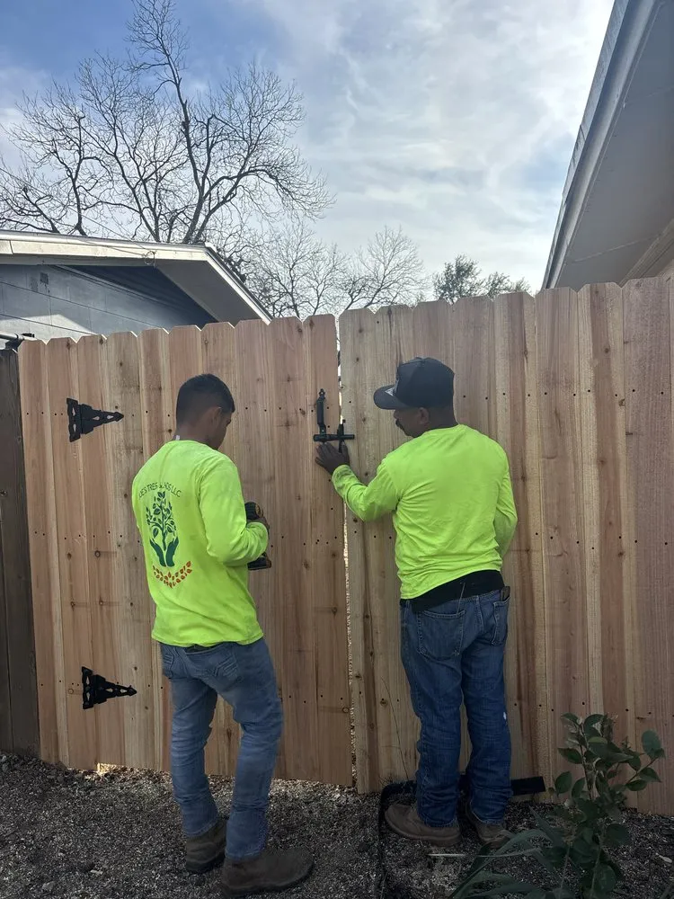 Affordable residential landscaping experts serving Austin, TX - Joe's Tree Care