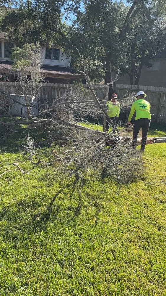 Trusted landscape design near you in Austin, TX by Joe's Tree Care