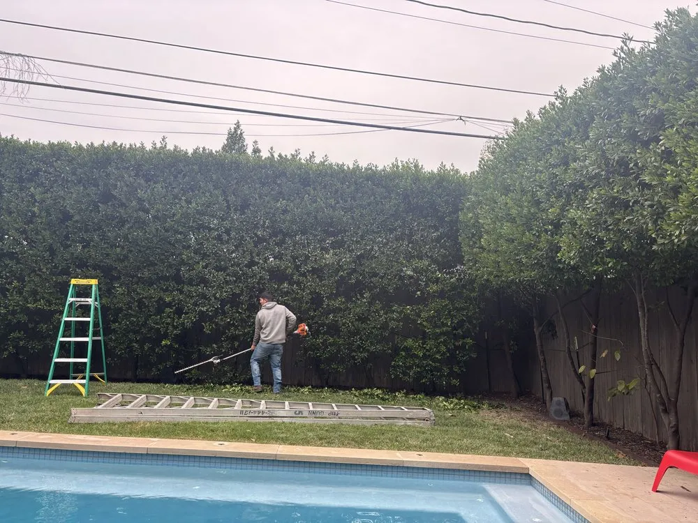 Trusted residential landscaping in Austin, TX - Joe's Tree Care