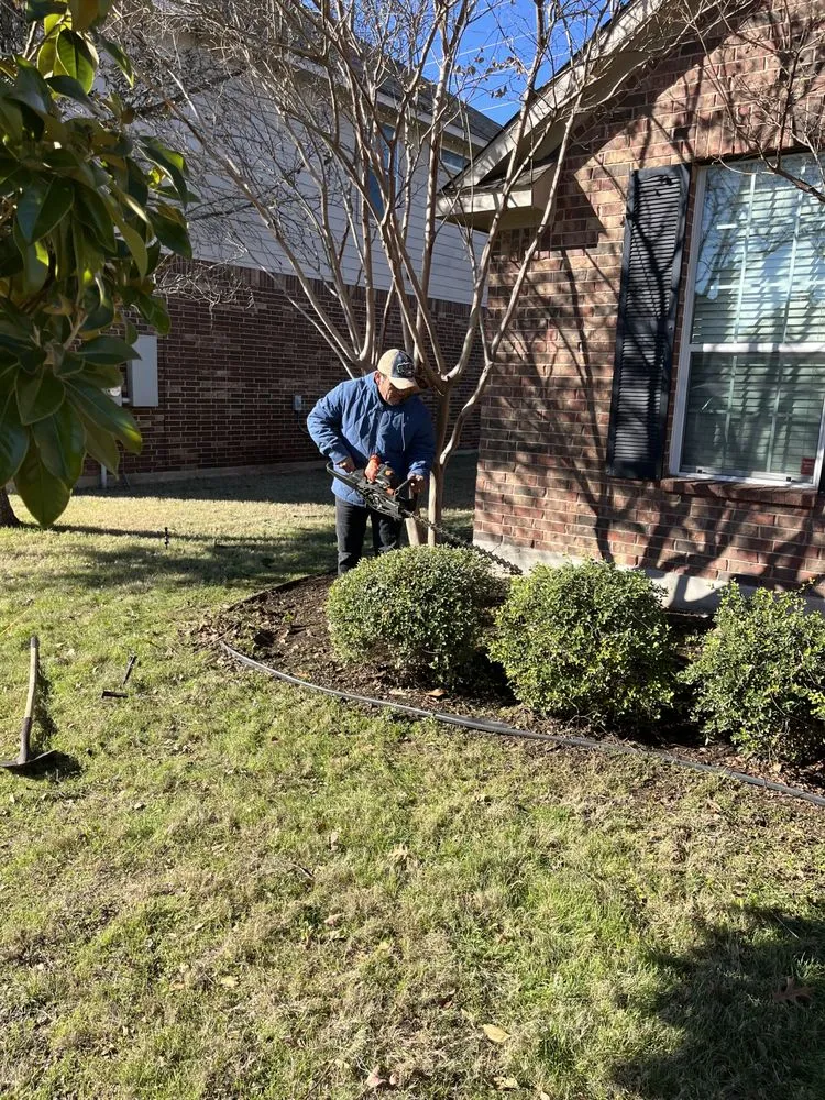 Local lawn care service in Austin, TX by Joe's Tree Care