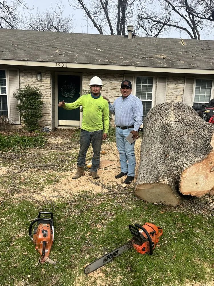 Custom lawn care service experts serving Austin, TX - Joe's Tree Care