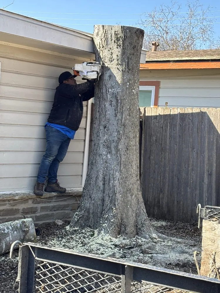 Top-rated outdoor landscaping experts serving Austin, TX - Joe's Tree Care