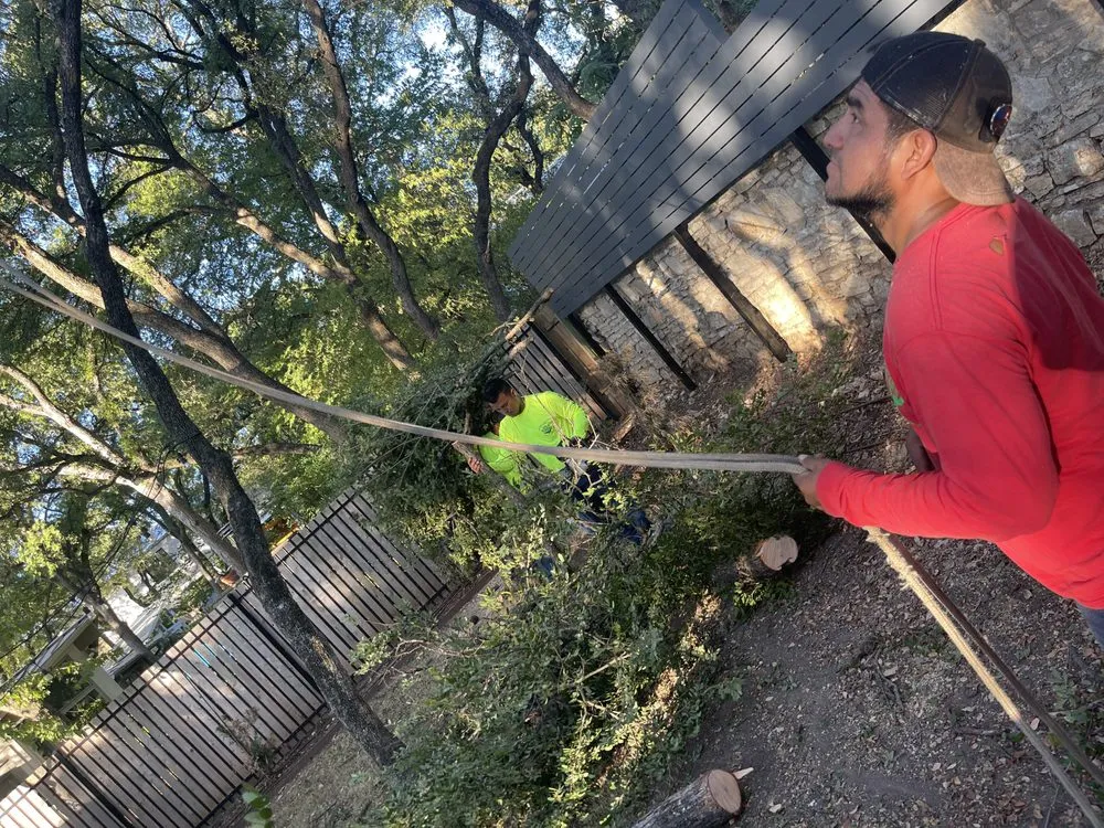 Professional garden landscaping experts serving Austin, TX - Joe's Tree Care