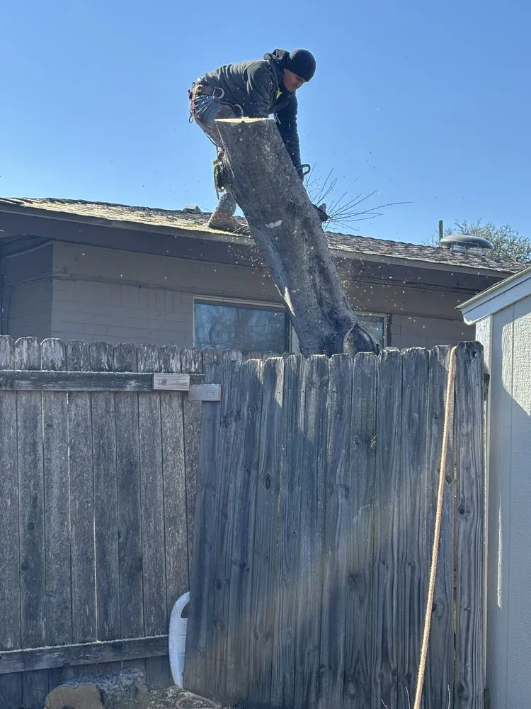 Professional garden landscaping with custom design across Austin, TX - Joe's Tree Care