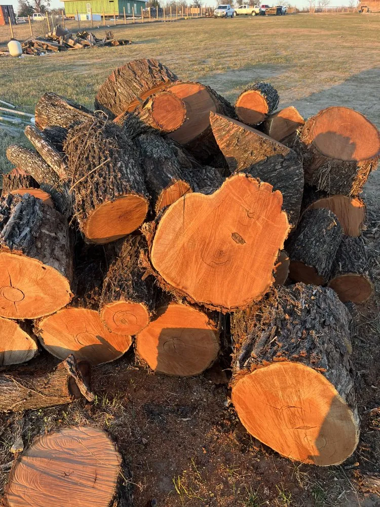 Top-rated landscape installation in Austin, TX by Joe's Tree Care