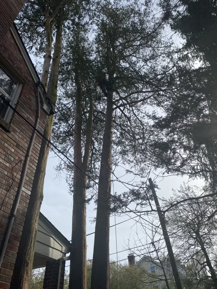 Expert garden landscaping for beautiful yards across Fredericksburg, VA - Joes Tree Service & Landscaping