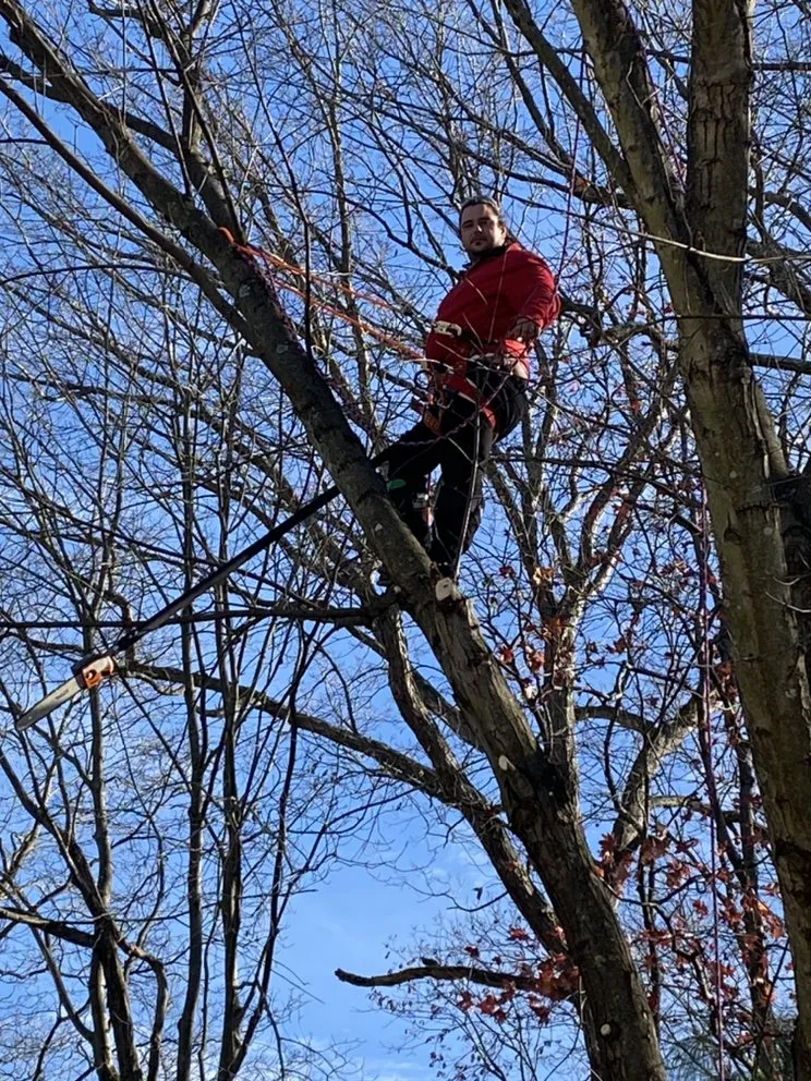 Expert residential landscaping experts serving Fredericksburg, VA - Joes Tree Service & Landscaping