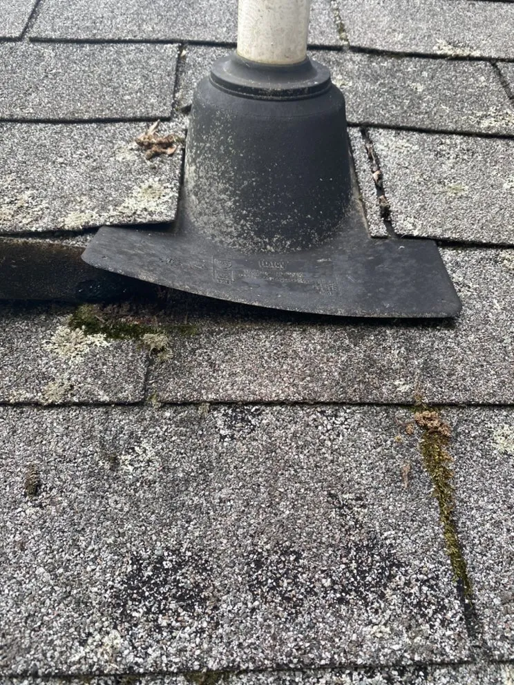 Professional residential landscaping near you across Fredericksburg, VA - Joes Tree Service & Landscaping