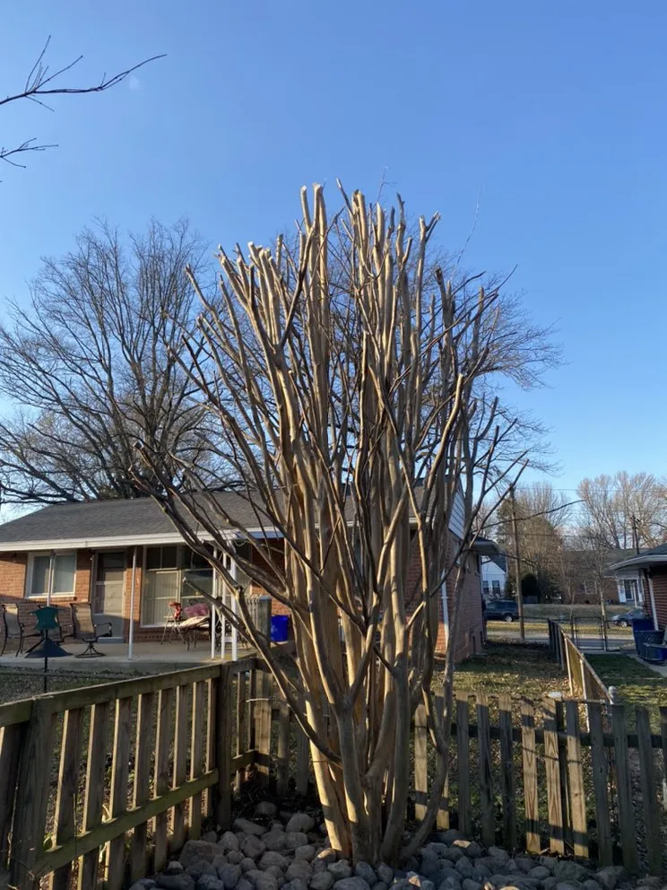 Affordable landscaping services experts serving Fredericksburg, VA - Joes Tree Service & Landscaping