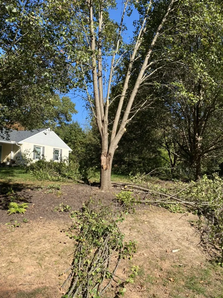 Reliable yard maintenance in Fredericksburg, VA by Joes Tree Service & Landscaping