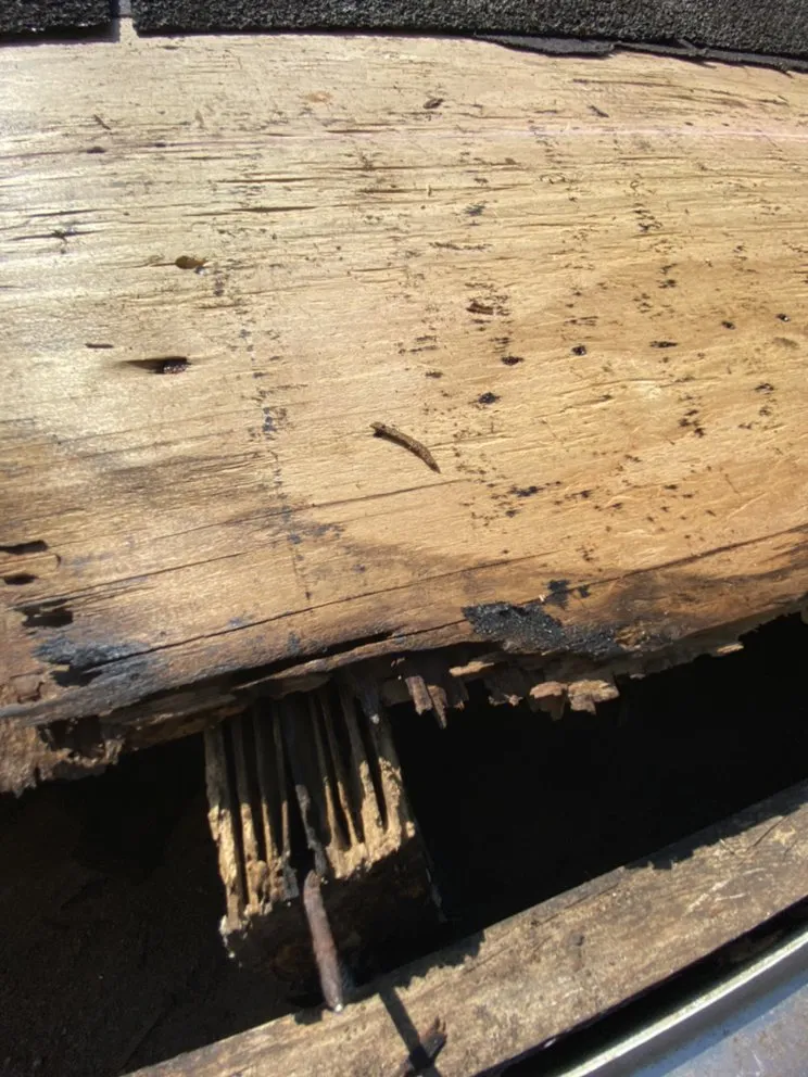 Expert landscape installation experts serving Fredericksburg, VA - Joes Tree Service & Landscaping