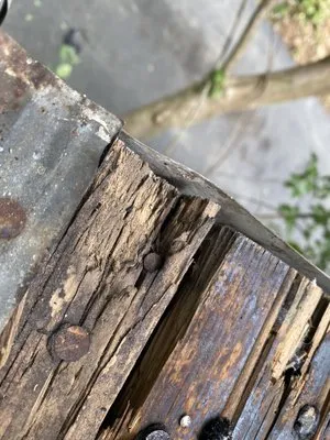 Joes Tree Service & Landscaping Logo