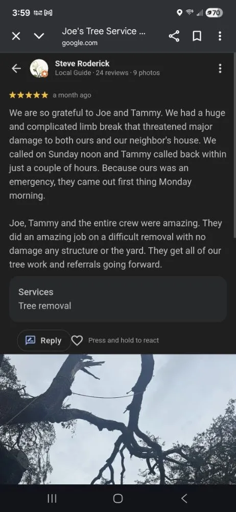 Affordable yard cleanup service in Tampa, FL by Joe's Tree Service & Landscaping Inc