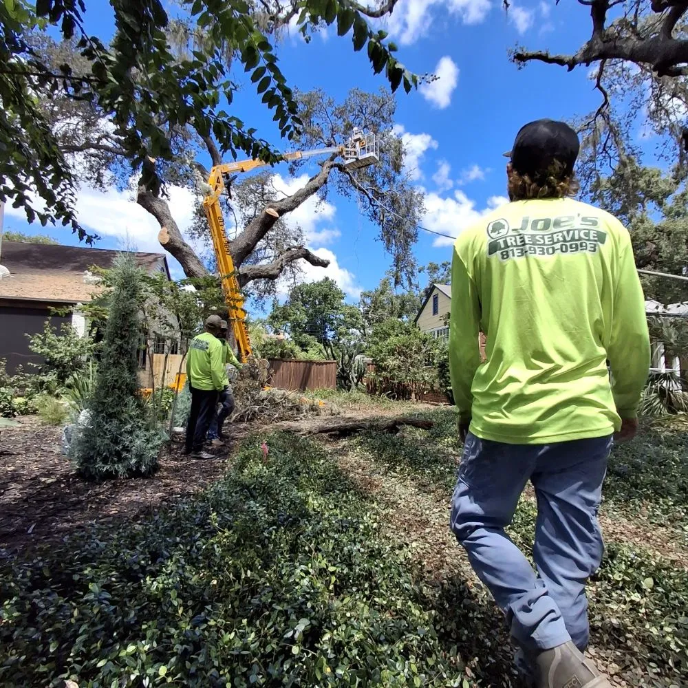 Expert outdoor landscaping with custom design in Tampa, FL by Joe's Tree Service & Landscaping Inc