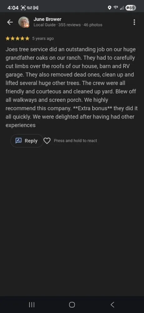 Trusted outdoor landscaping in Tampa, FL - Joe's Tree Service & Landscaping Inc