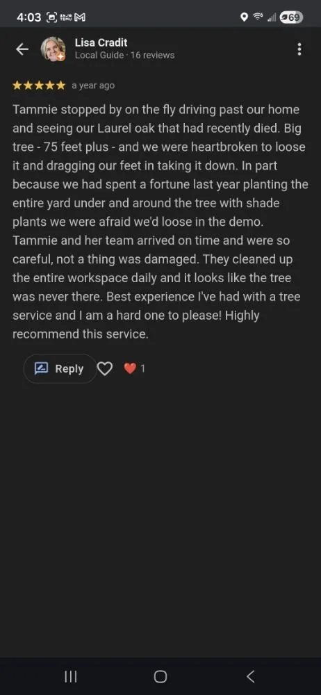 Professional outdoor landscaping in Tampa, FL - Joe's Tree Service & Landscaping Inc