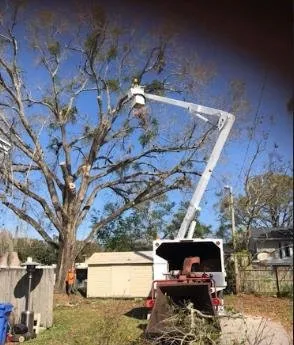 Top-rated landscaping services near you in Tampa, FL by Joe's Tree Service & Landscaping Inc