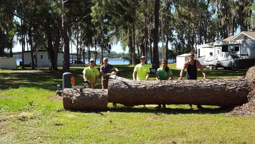 Top-rated lawn care service near you across Tampa, FL - Joe's Tree Service & Landscaping Inc