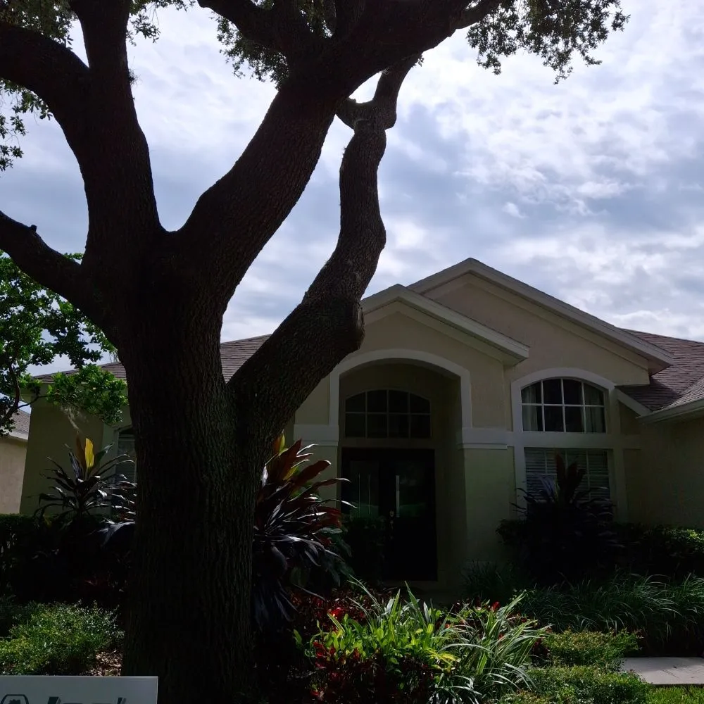 Trusted lawn care service near you in Tampa, FL by Joe's Tree Service & Landscaping Inc