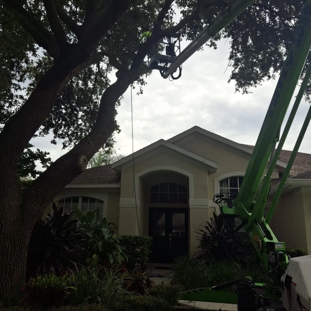 Top-rated lawn care service in Tampa, FL by Joe's Tree Service & Landscaping Inc