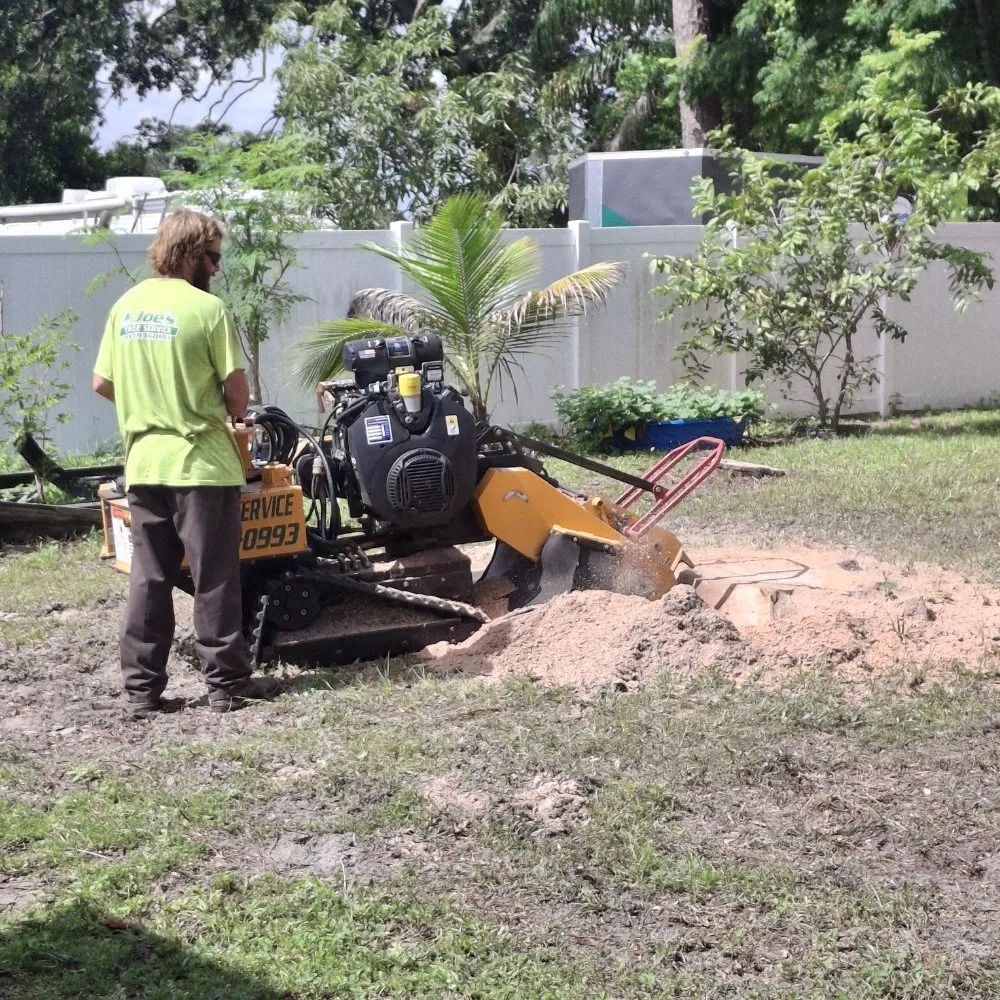 Top-rated yard cleanup service for year-round maintenance across Tampa, FL - Joe's Tree Service & Landscaping Inc