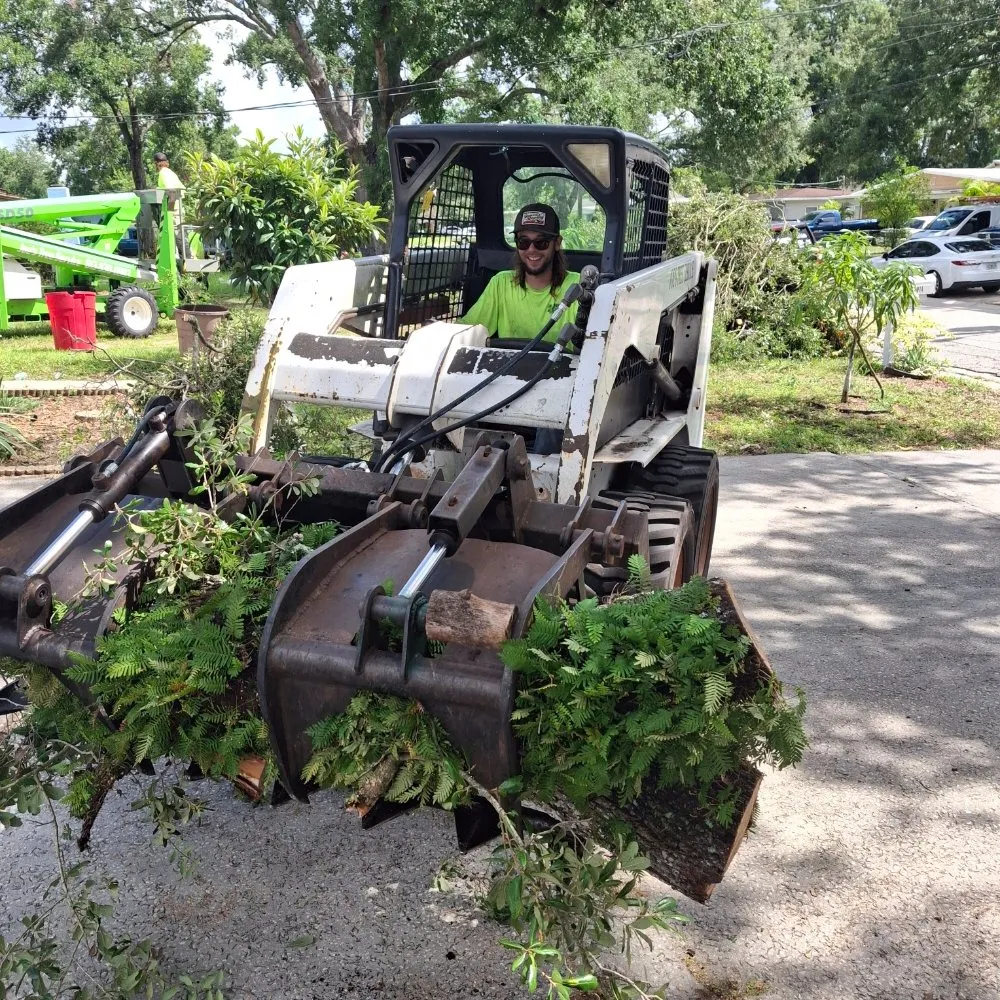 Top-rated landscape design experts serving Tampa, FL - Joe's Tree Service & Landscaping Inc