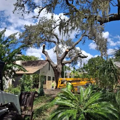 Joe's Tree Service & Landscaping Inc Logo