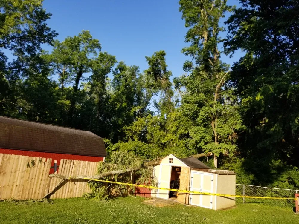 Custom yard cleanup service experts serving Cincinnati, OH - Joe's Tree Service And Lawn Care