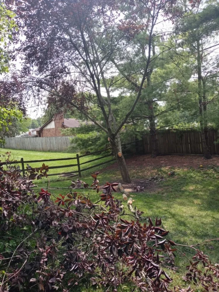 Expert outdoor landscaping for beautiful yards across Cincinnati, OH - Joe's Tree Service And Lawn Care