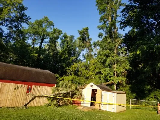 Joe's Tree Service And Lawn Care Logo