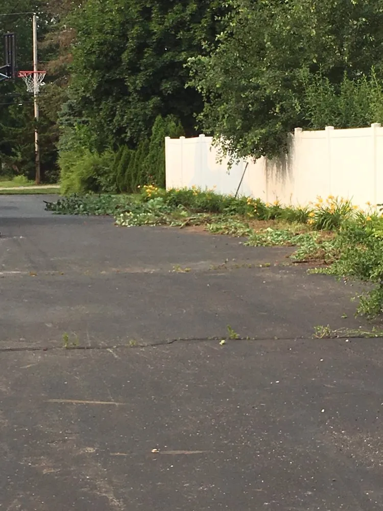 Custom landscape installation in Clarkston, MI by Joe's Tree Service