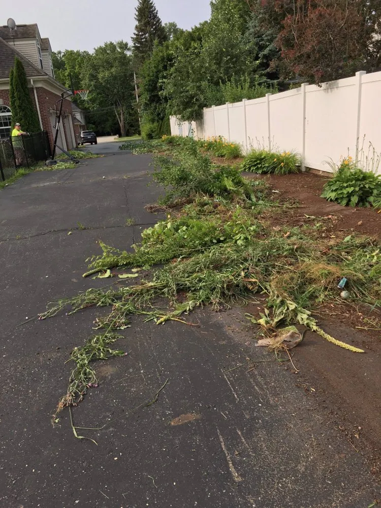 Expert yard cleanup service in Clarkston, MI - Joe's Tree Service