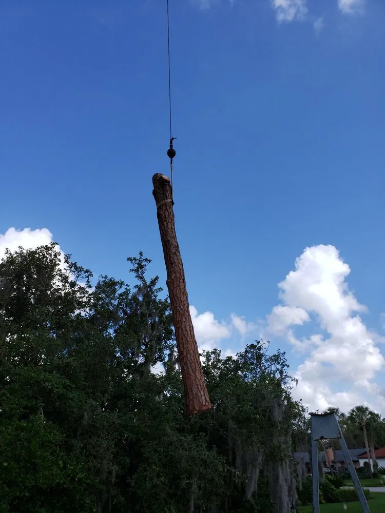 Professional yard maintenance experts serving Plant City, FL - Joes Tree Service