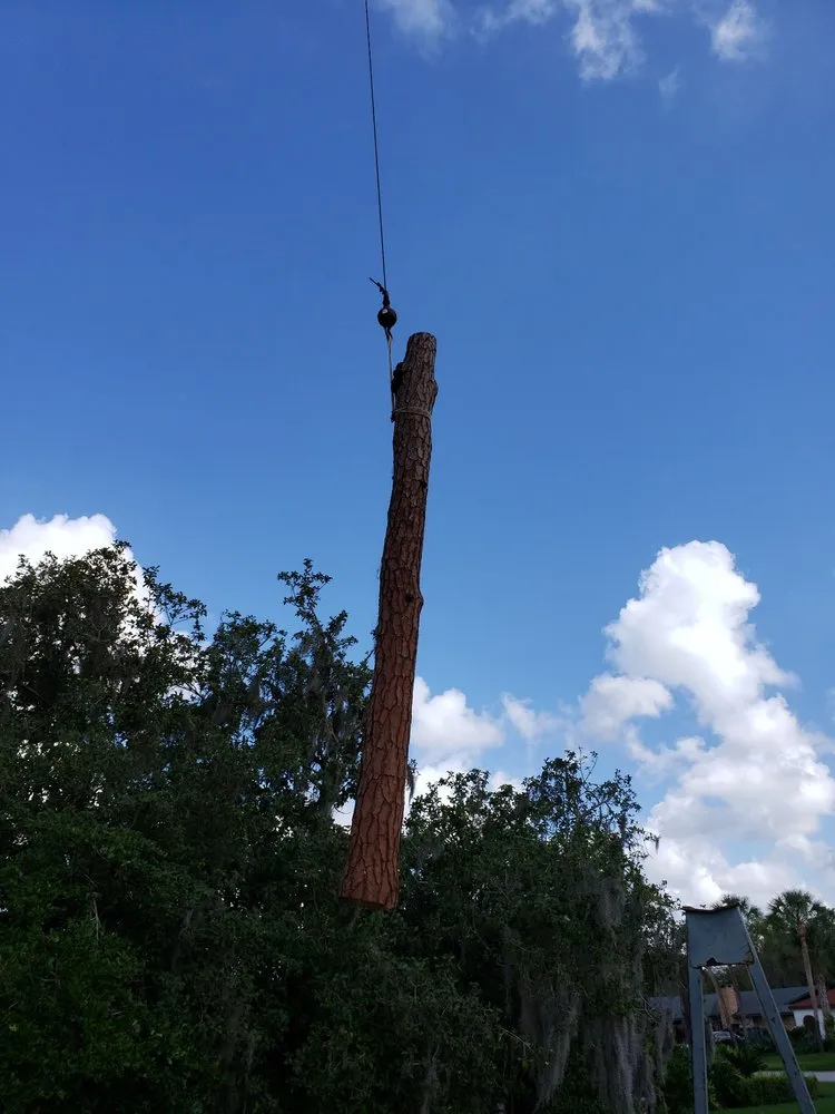 Affordable residential landscaping for year-round maintenance across Plant City, FL - Joes Tree Service