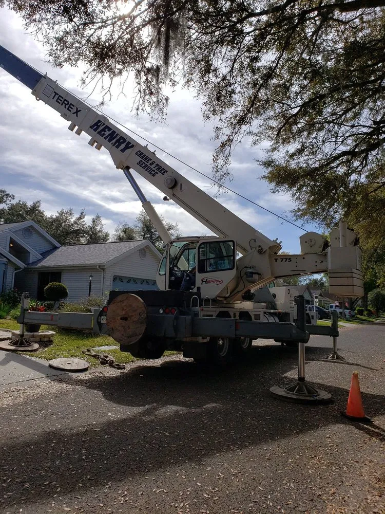 Reliable garden landscaping for homes across Plant City, FL - Joes Tree Service
